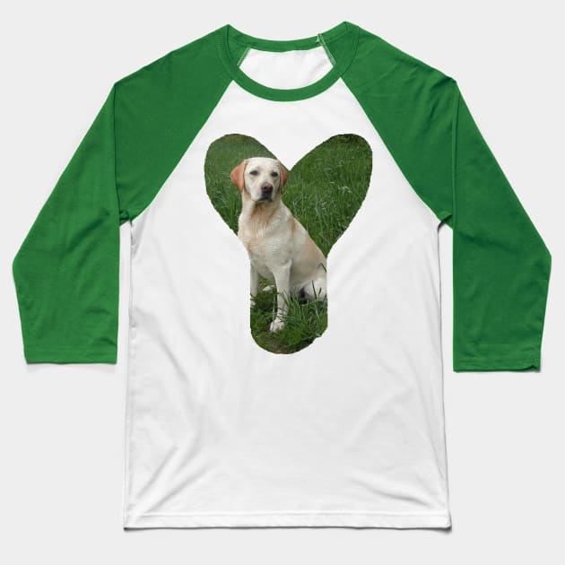 Labrador retriever yellow in Y Baseball T-Shirt by Wanderingangel